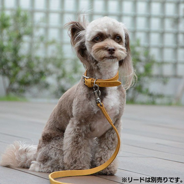 首輪 犬 おしゃれ かわいい 犬用 本革 カラー 柔らか ヌバック