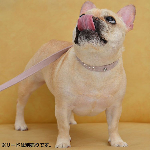 首輪 犬 おしゃれ 犬用 本革 カラー スエードレザー ハヤブサ Leda