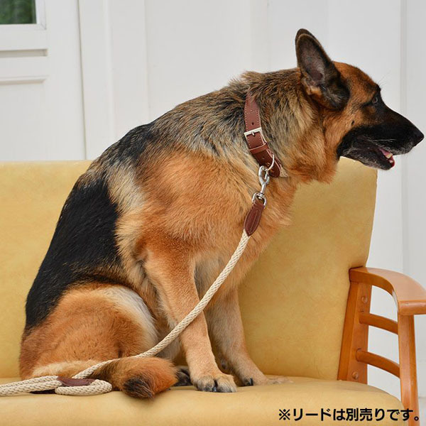 首輪 犬 おしゃれ 犬用 本革 カラー シンプル 高強度 大型犬