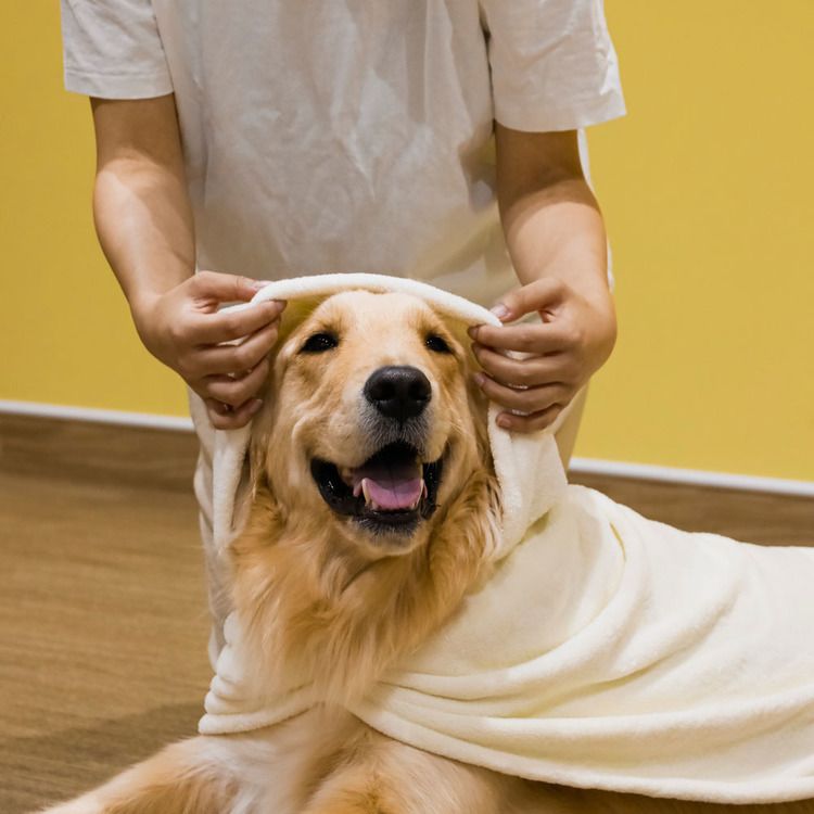 ペットローブペット用タオル吸水タオル犬用ローブ犬用品ペットグッズケアバスタオルカラリシービージャパンカラリペットローブアニマルイヌL 