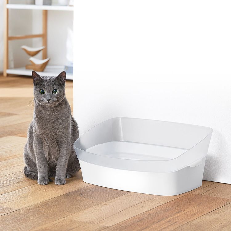猫トイレ　アヒル商談中 ボンビアルコン 猫 トイレ 足置き しつけるトイレ クリア
