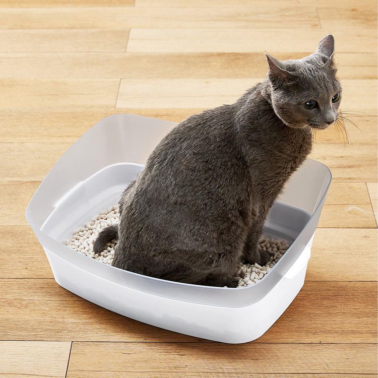 ボンビアルコン 猫 トイレ 足置き しつけるトイレ クリアキャットS