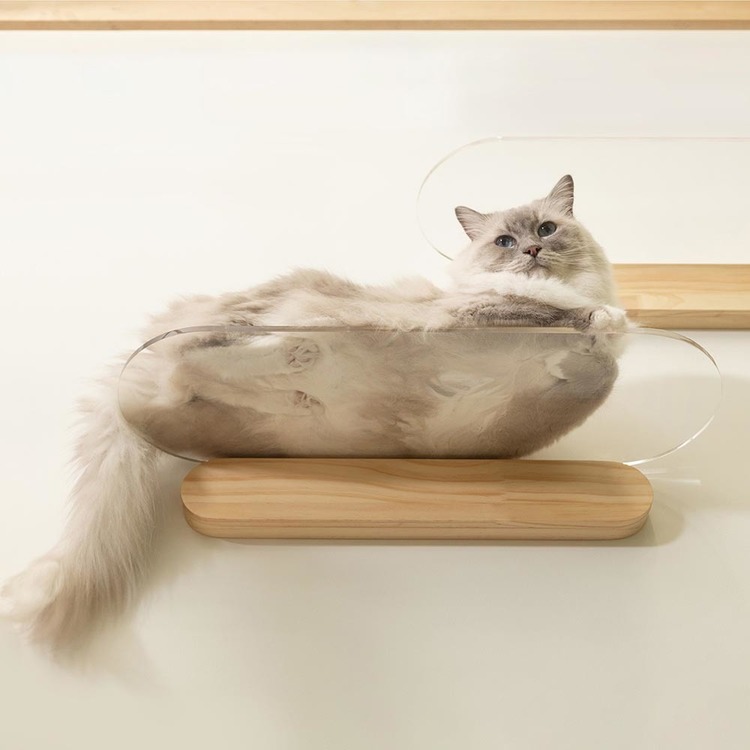 【M2830-93-65】キャットウォーク 4点セット　猫用　キャットステップ キャットウォーク キャットステップ 猫用品 ペット用品 猫家具 猫