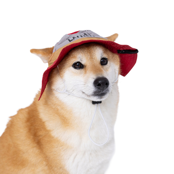 ③Parti du Ruban お帽子　ハット犬用品　写真撮影 pipi 犬の帽子 ペット用品 帽子 お散歩 お出かけ 日焼け対策 夏 犬 猫