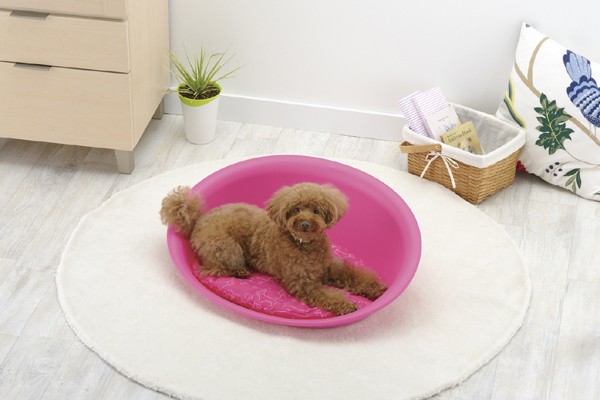 ペットベッド ベッド 犬 猫 おしゃれ かわいい 犬ベッド 猫ベッド 犬用ベッド プラスチック製 洗える お手入れ簡単 リッチェル オーパル S