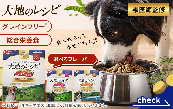大地のレシピ 犬
