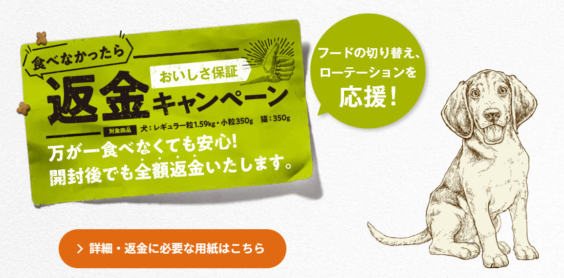 NOW FRESH キャットフード ナウフレッシュ フィッシュ アダルト
