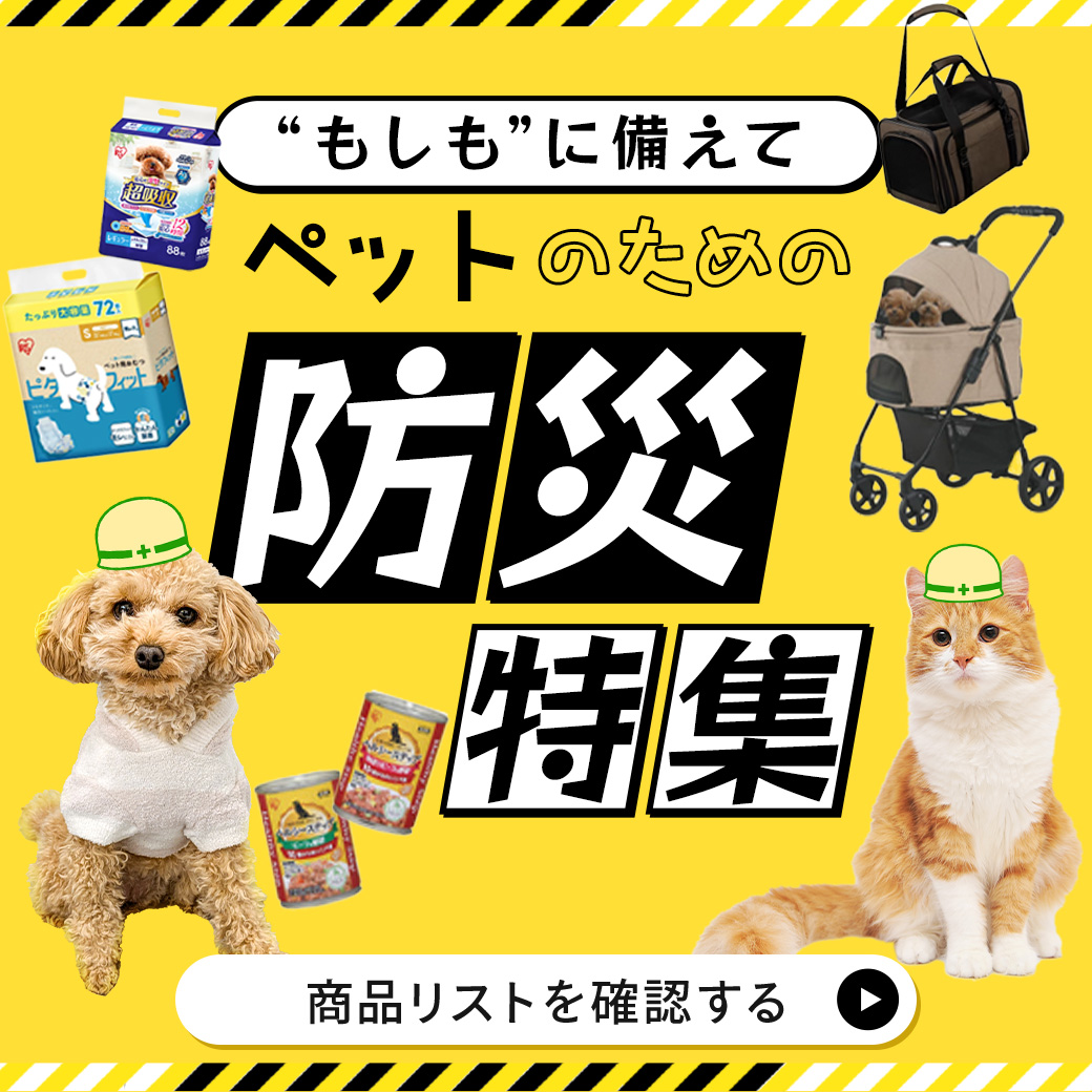 防災特集