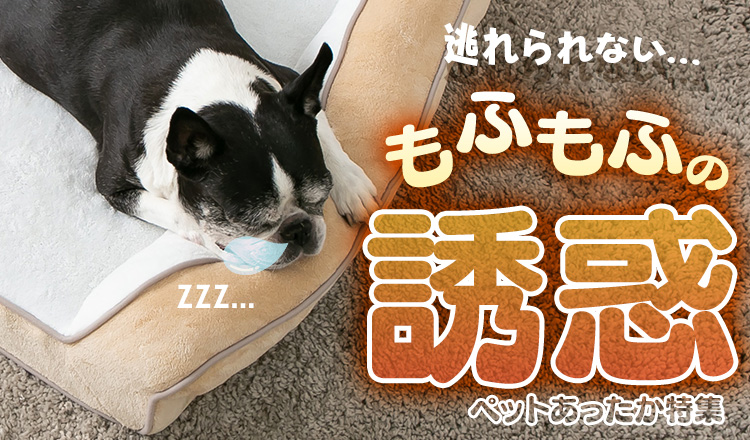 ペットあったか特集