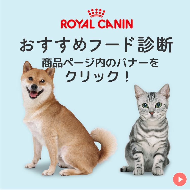 ロイヤルカナン 犬 ミニ インドア アダルト 2kg 室内 小型犬 成犬用 生後10ヵ月齢以上 ドライフード 犬用 関連画像2