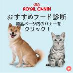 ロイヤルカナン 猫用エイジング 12+ 400...の詳細画像2