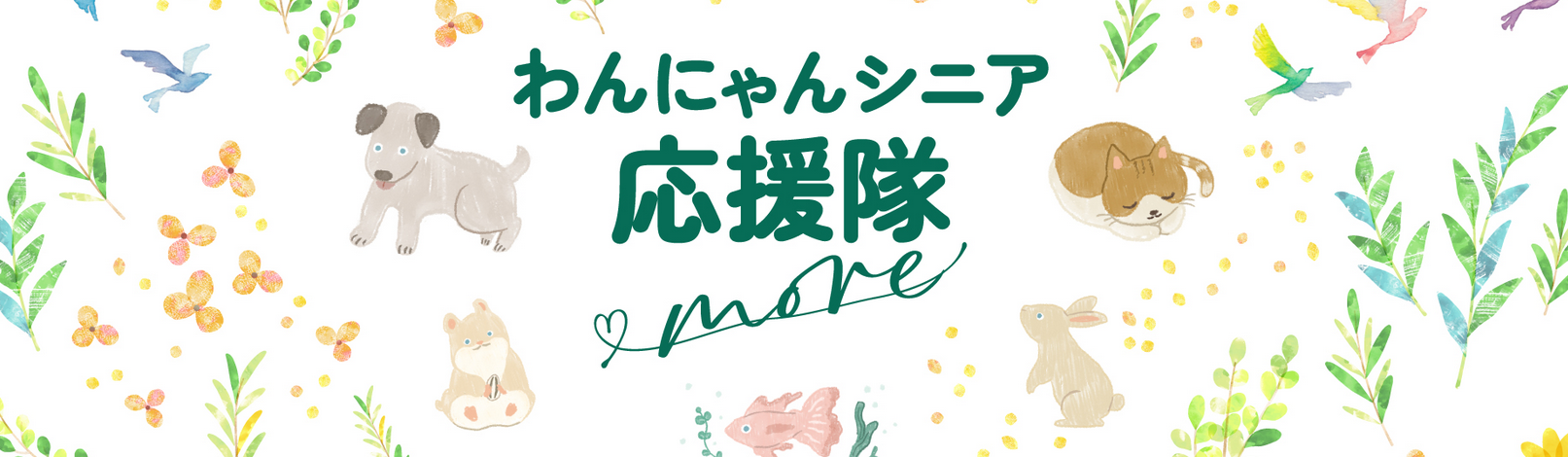 わんにゃんシニア応援隊 ヘッダー画像