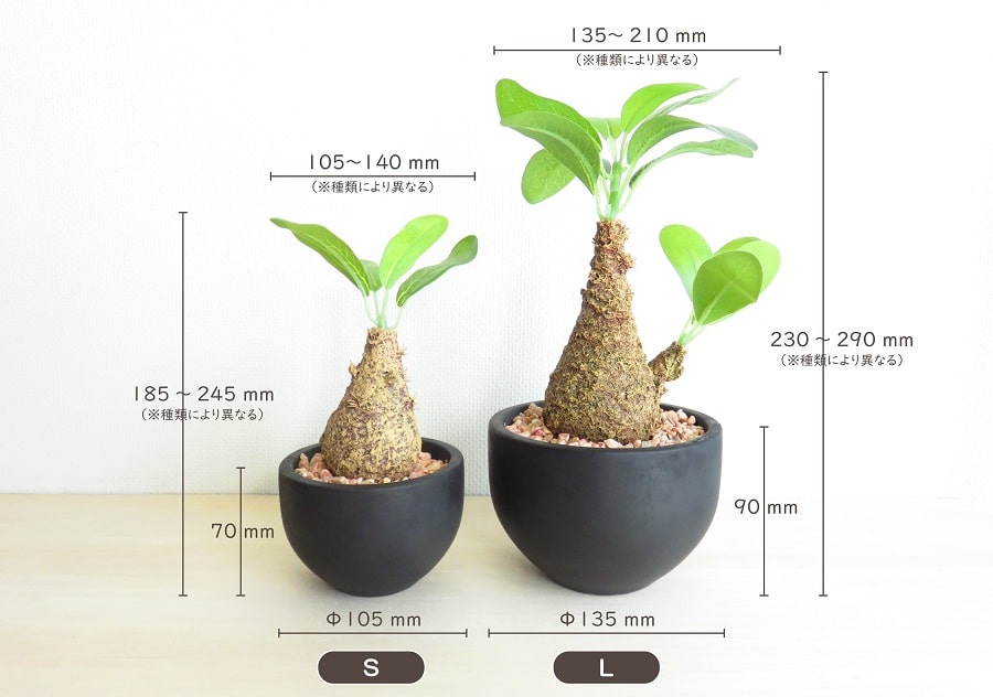 モルタル造形 石造りオーナメント フェイクグリーン付き モルタル造形