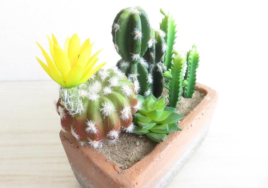 観葉植物 フェイクグリーン 花サボテン レクトポット Sサイズ 寄せ植え