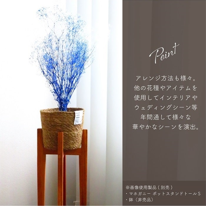 ドライフラワー プリザーブドフラワー ミニカスミ草 フラワーベール 白