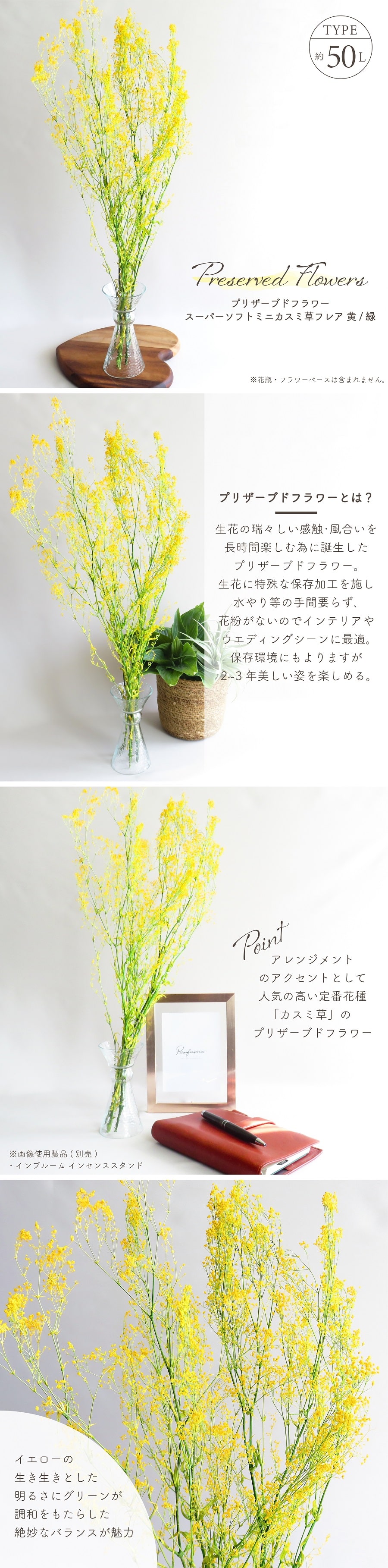 ドライフラワー プリザーブドフラワー スーパーソフトミニカスミ草