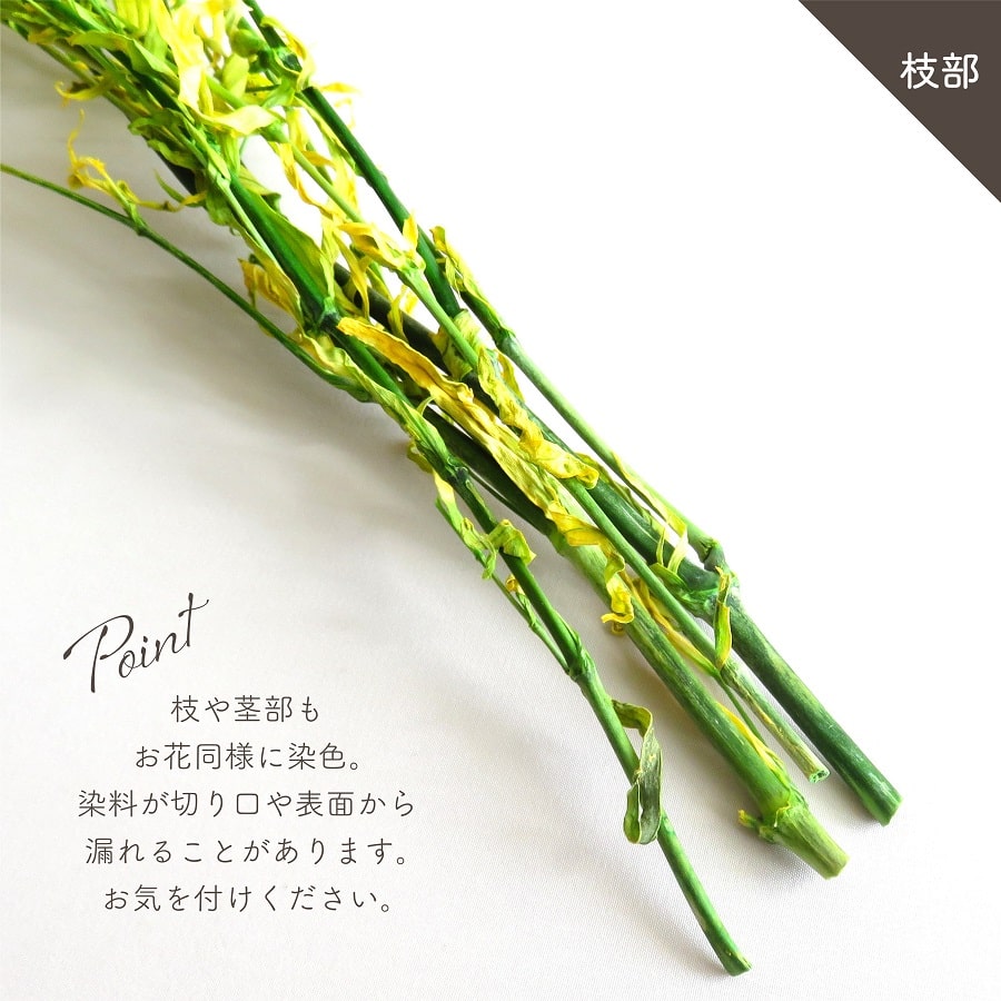 かすみ草　＊フェアリー＊　サイズmix ドライフラワー プリザーブドフラワー スーパーソフトミニカスミ草