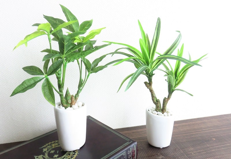 観葉植物 造花 ホワイト スリムポット オーバル 楕円形 パキラ ユッカ