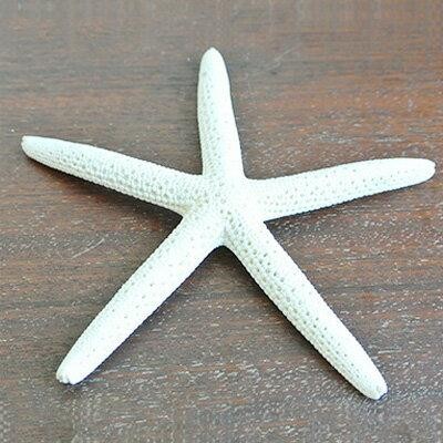 オーダー制 オブジェ ハワイアン雑貨 アルファベットオブジェ スター 