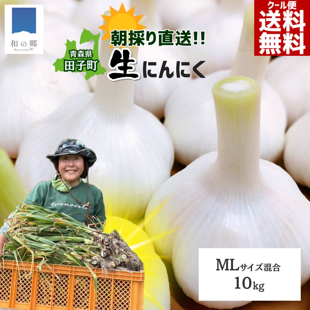 【予約商品】R8年産 掘りたて生にんにく サイズ混合 |  | 07