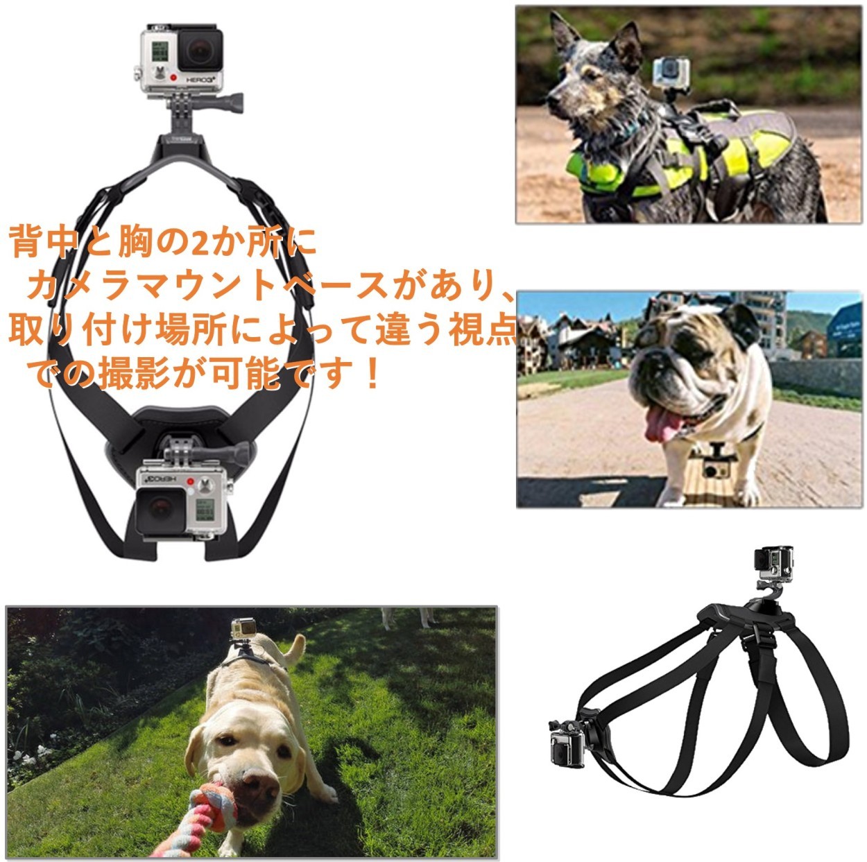 犬用 ハーネス カメラ Gopro Sjcam 小型犬 中型犬 大型犬 アクションカメラ 取付 動画 撮影 ゴープロ チェストマウントハーネス Hns C わんわん Square Garden 通販 Yahoo ショッピング