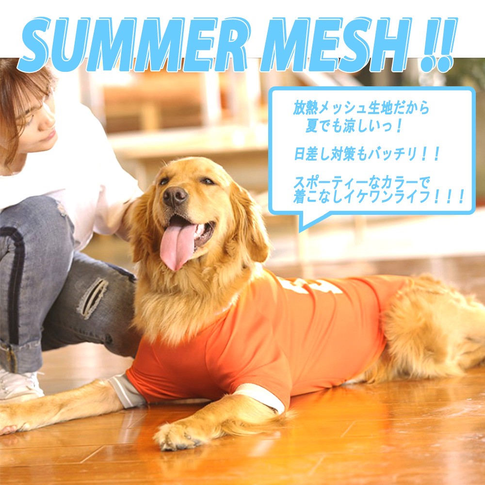 大型犬 服 クール 夏 冷感 サマーメッシュタンクトップ ｔシャツ 暑さ 日差し 抜け毛対策 クールメッシュタンク Hpt Bigt わんわん Square Garden 通販 Yahoo ショッピング