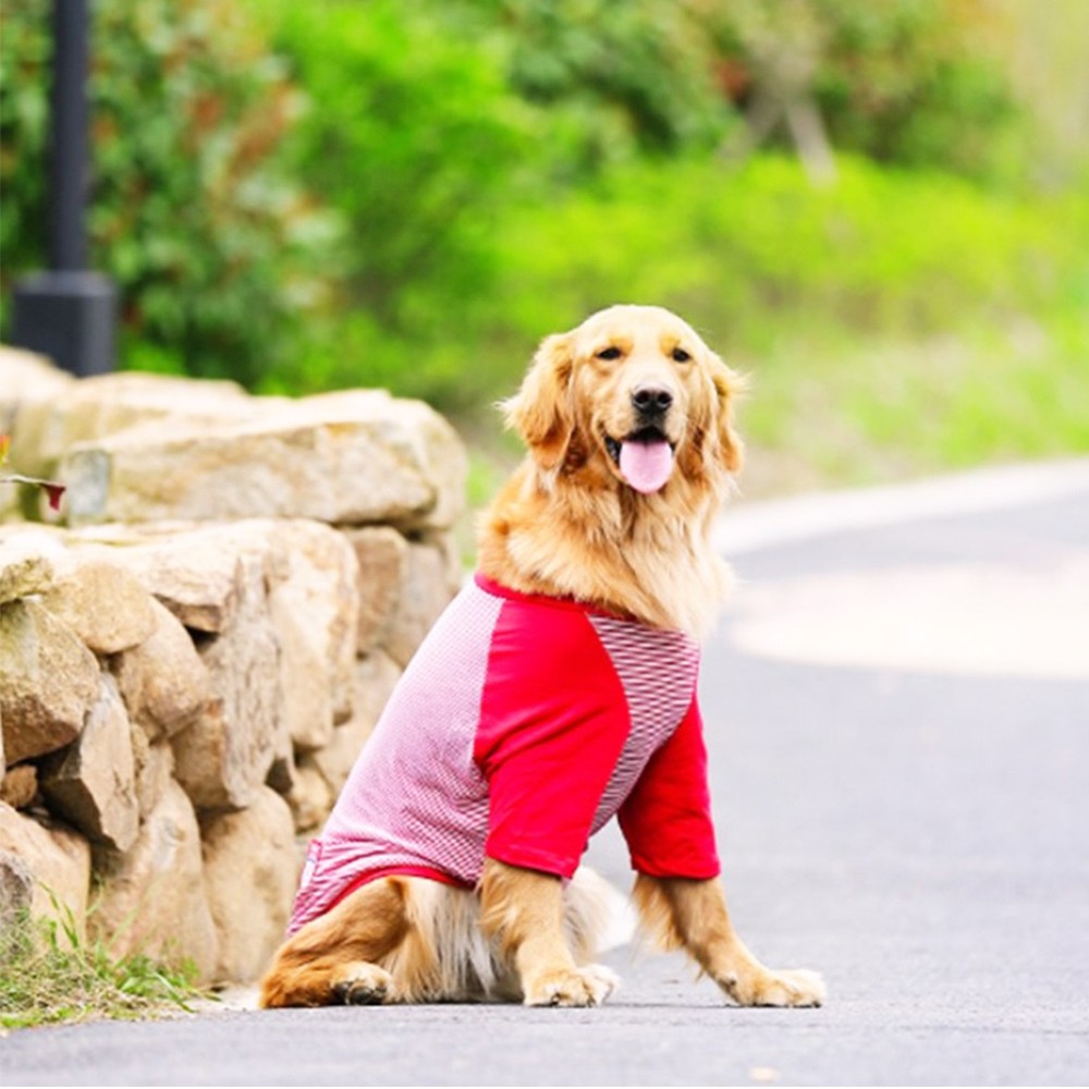 犬 服 夏 タンクトップ Tシャツ ストライプ 大型犬 中型犬 超大型犬 ボーダー 薄手 犬の服 爽やかビッグＴシャツ 送料無料