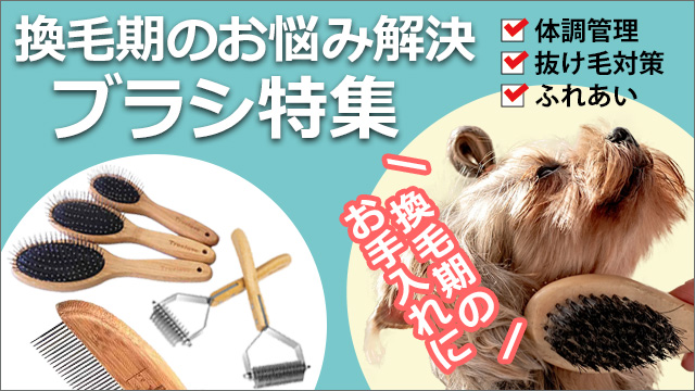 スマホ用換毛期特集ページバナー