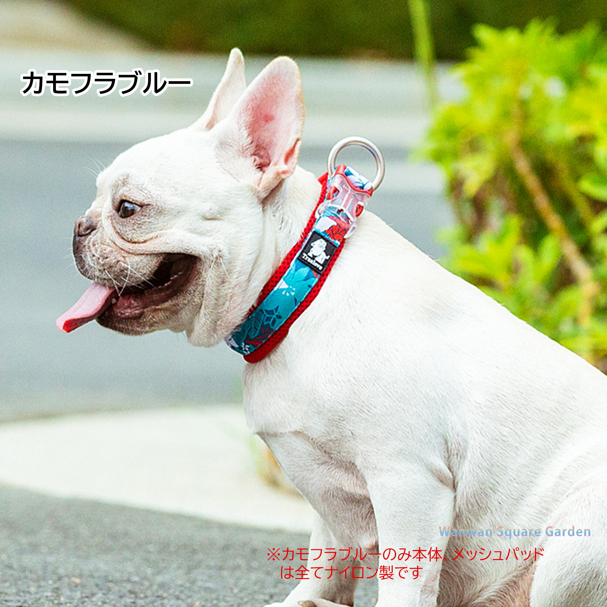 犬 首輪 犬用 首輪 軽い 小型犬 中型犬 大型犬 Truelove ブランド 綿