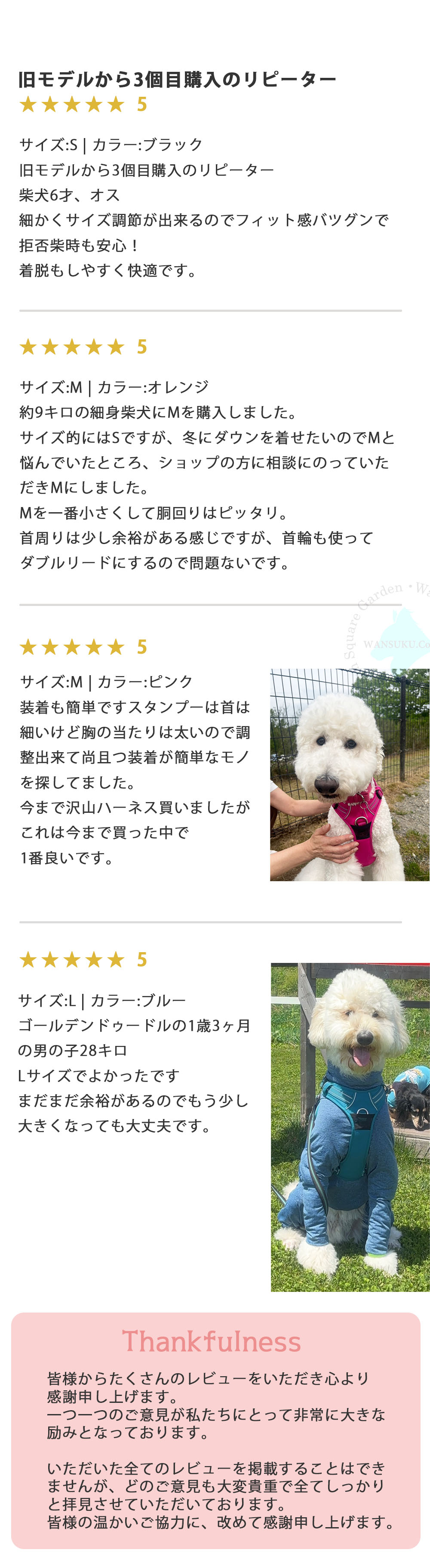 trueloveのハーネスの中でも抜けにくい