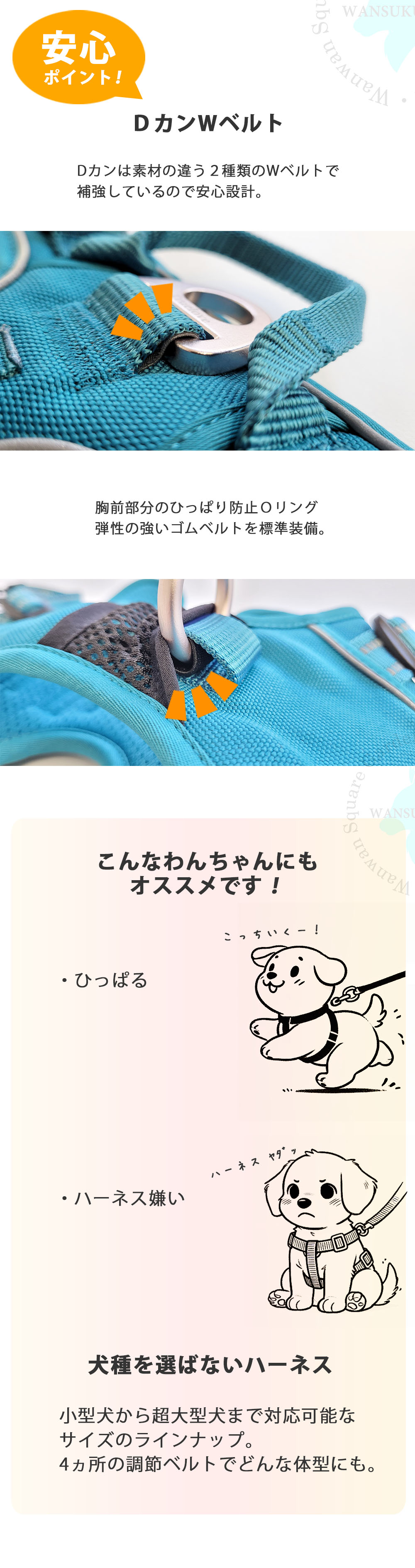 ボストンテリア 着用例 小型犬向けTrueloveハーネス 負担の少ない TLH56512 簡単装着で快適な胴輪