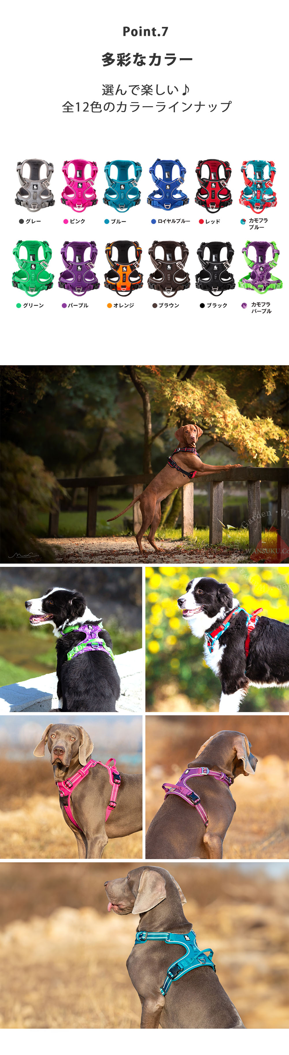 Truelove TLH56512 犬用ハーネス 中型犬・柴犬・スタンダードプードル対応 サイズ調整自在