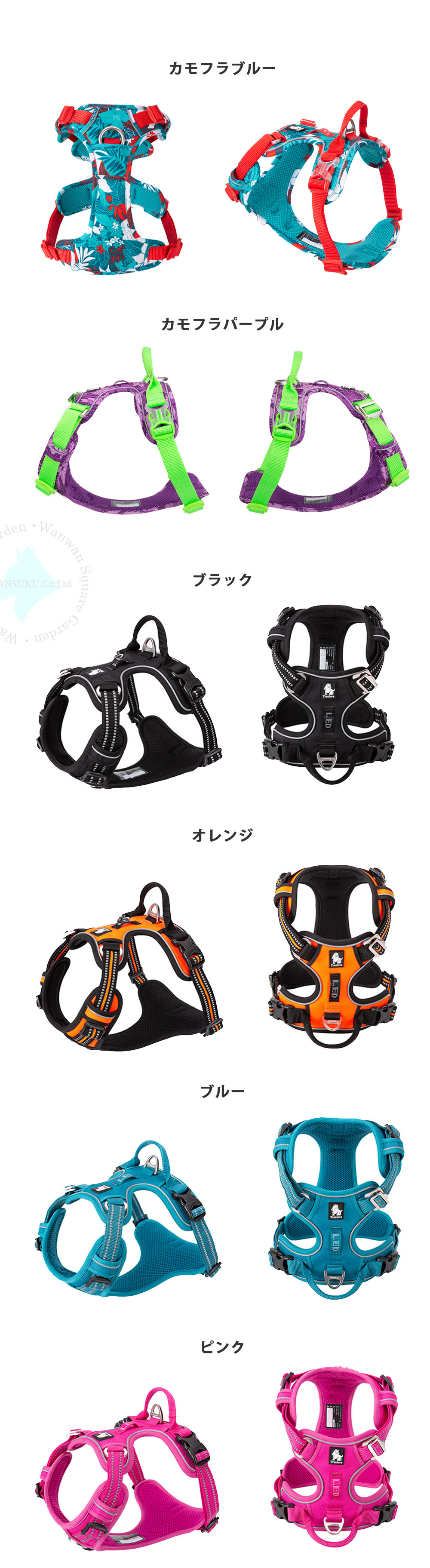 ゴールデンドゥードル着用例 Trueloveハーネス Lサイズ 軽量・安全な犬用胴輪