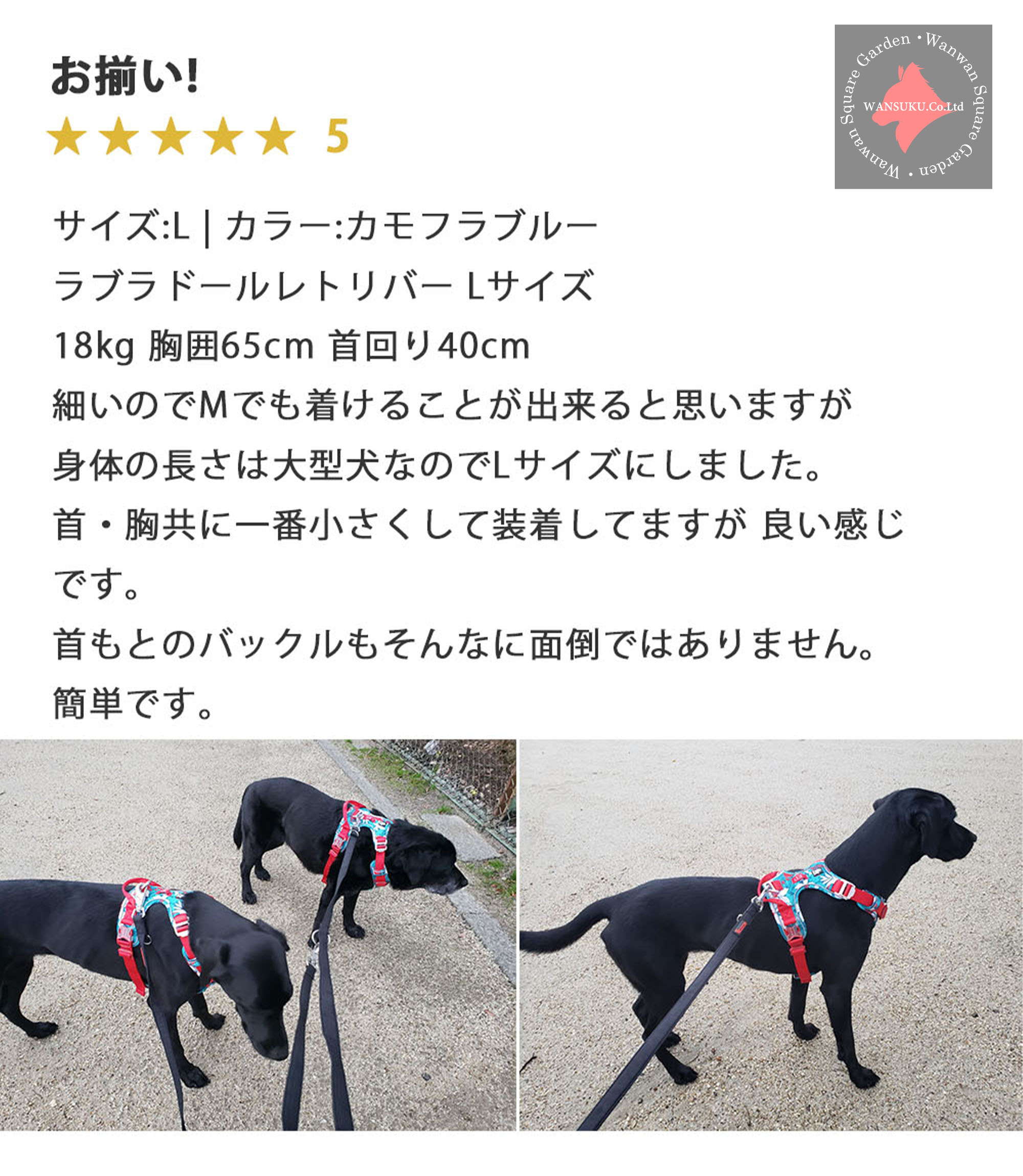 Amazon | LCL Xerox用 富士ゼロックス用 CT202681 CT202682