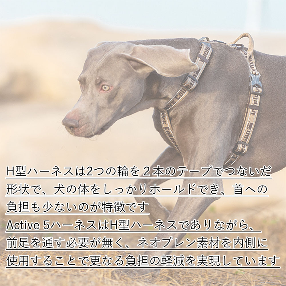 犬 ハーネス H型ハーネス Truelove ブランド ネオプレン 簡単着脱 抜けにくい ホールド アクティブ5 ハーネス