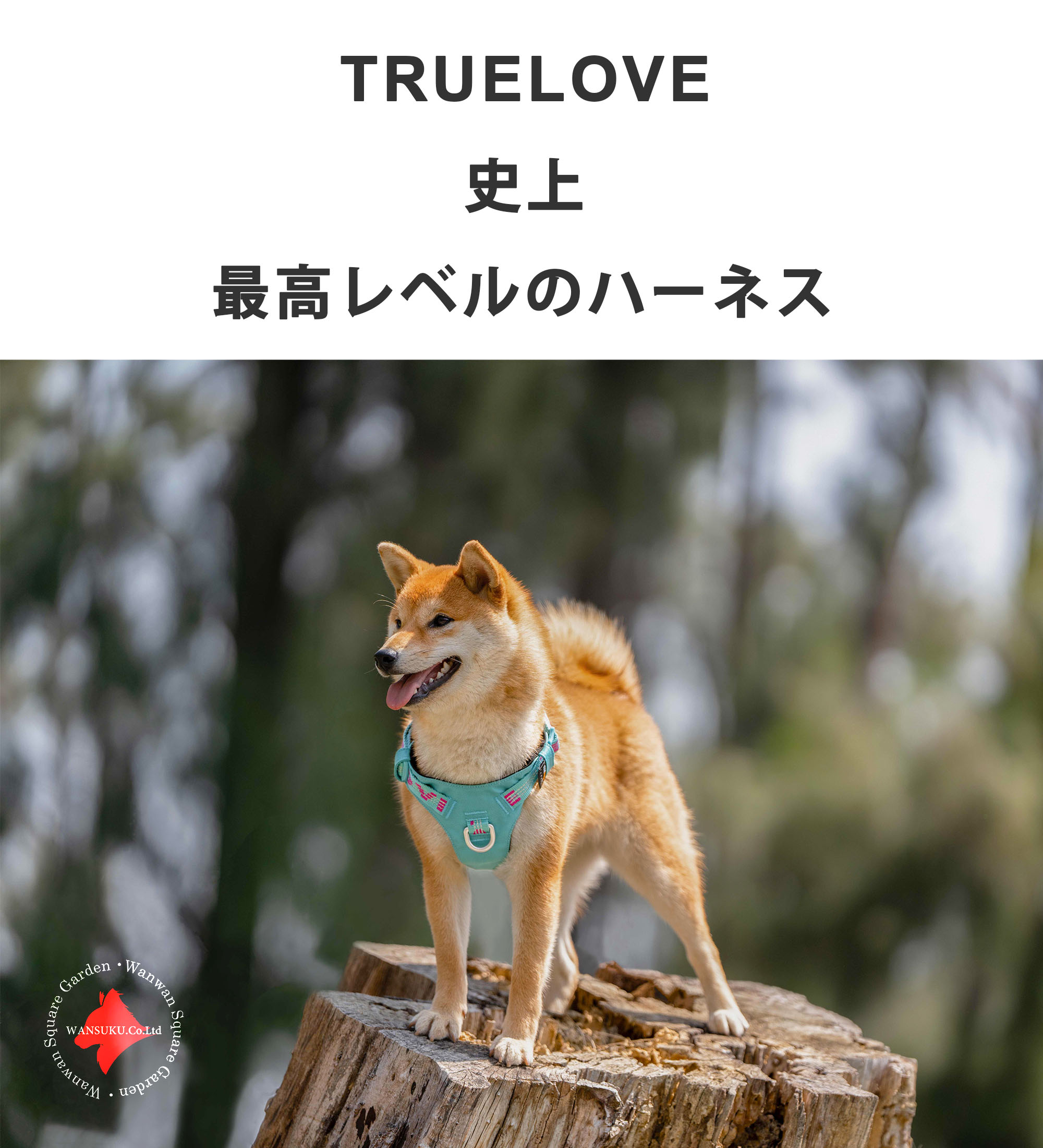 犬 ハーネス コーデュラ 小型犬 中型犬 大型犬用 簡単装着 Truelove 軽量 耐久性 引っぱり防止 おしゃれ アウトドア セーフティハーネス 【安心保障】TLH6282の画像