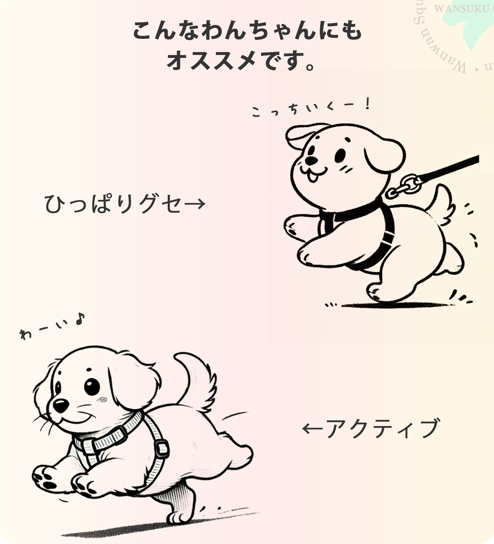 犬 ハーネス コーデュラ 小型犬 中型犬 大型犬用 簡単装着 Truelove 軽量 耐久性 引っぱり防止 おしゃれ アウトドア セーフティハーネス 【安心保障】TLH6282の画像
