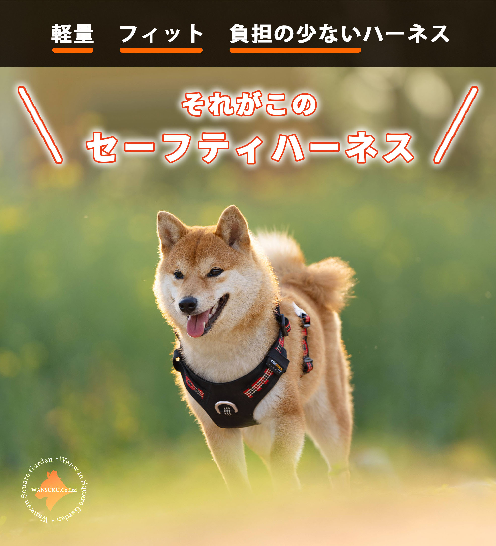 犬 ハーネス コーデュラ 小型犬 中型犬 大型犬用 簡単装着 Truelove 軽量 耐久性 引っぱり防止 おしゃれ アウトドア セーフティハーネス 【安心保障】TLH6282の画像