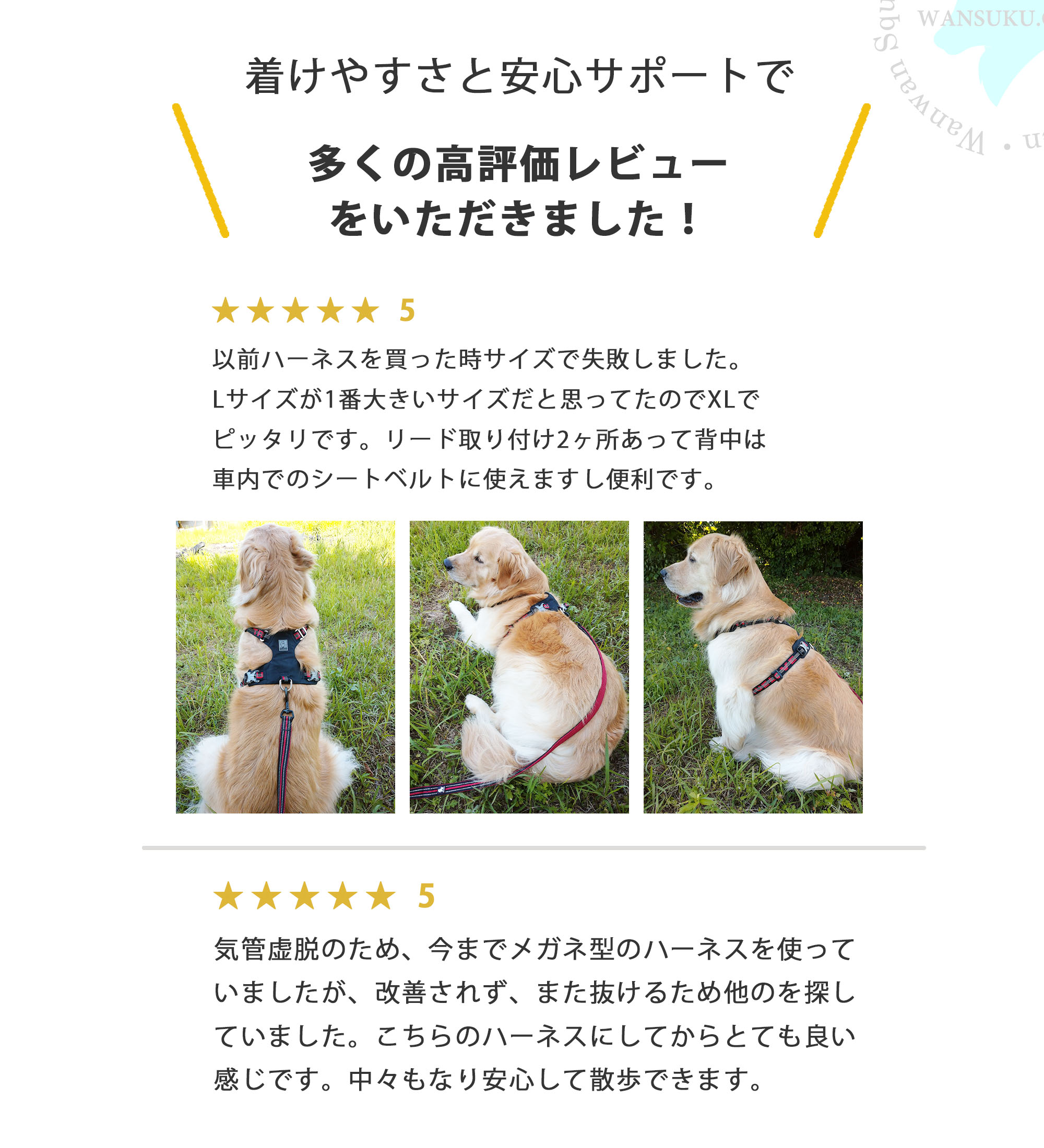 犬 ハーネス コーデュラ 小型犬 中型犬 大型犬用 簡単装着 Truelove 軽量 耐久性 引っぱり防止 おしゃれ アウトドア セーフティハーネス 【安心保障】TLH6282の画像