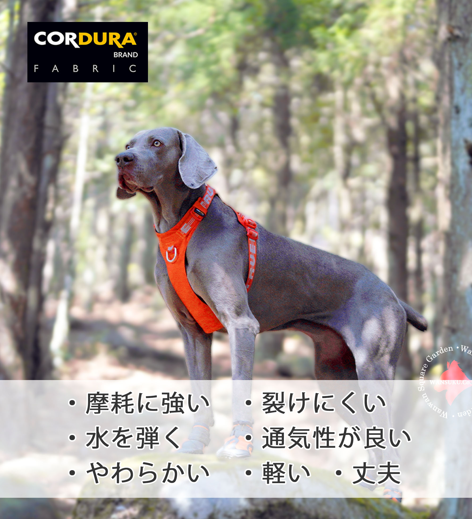 犬 ハーネス コーデュラ 小型犬 中型犬 大型犬用 簡単装着 Truelove 軽量 耐久性 引っぱり防止 おしゃれ アウトドア セーフティハーネス 【安心保障】TLH6282の画像