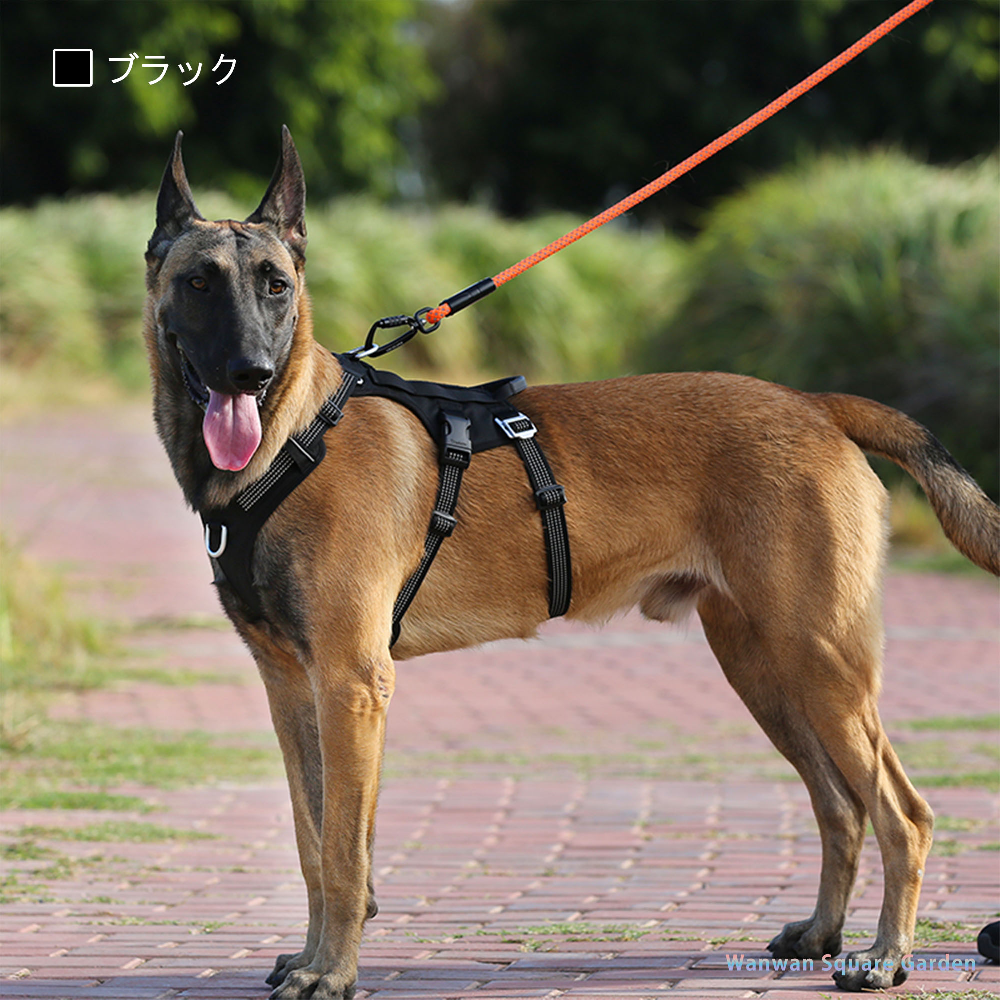 犬 ハーネス 名入れ 中型犬 大型犬 犬用 胴輪 Truelove ブランド 