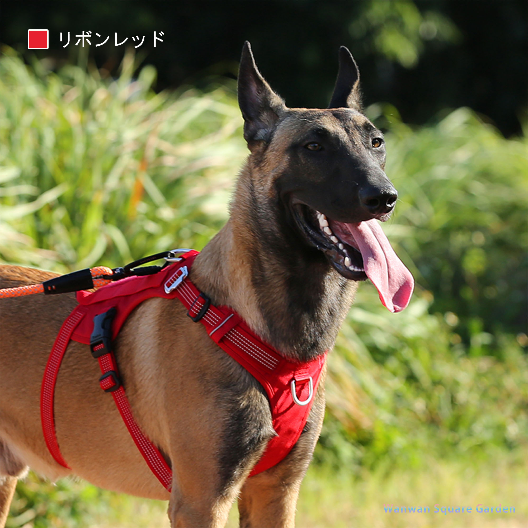 犬 ハーネス 名入れ 中型犬 大型犬 犬用 胴輪 Truelove ブランド 