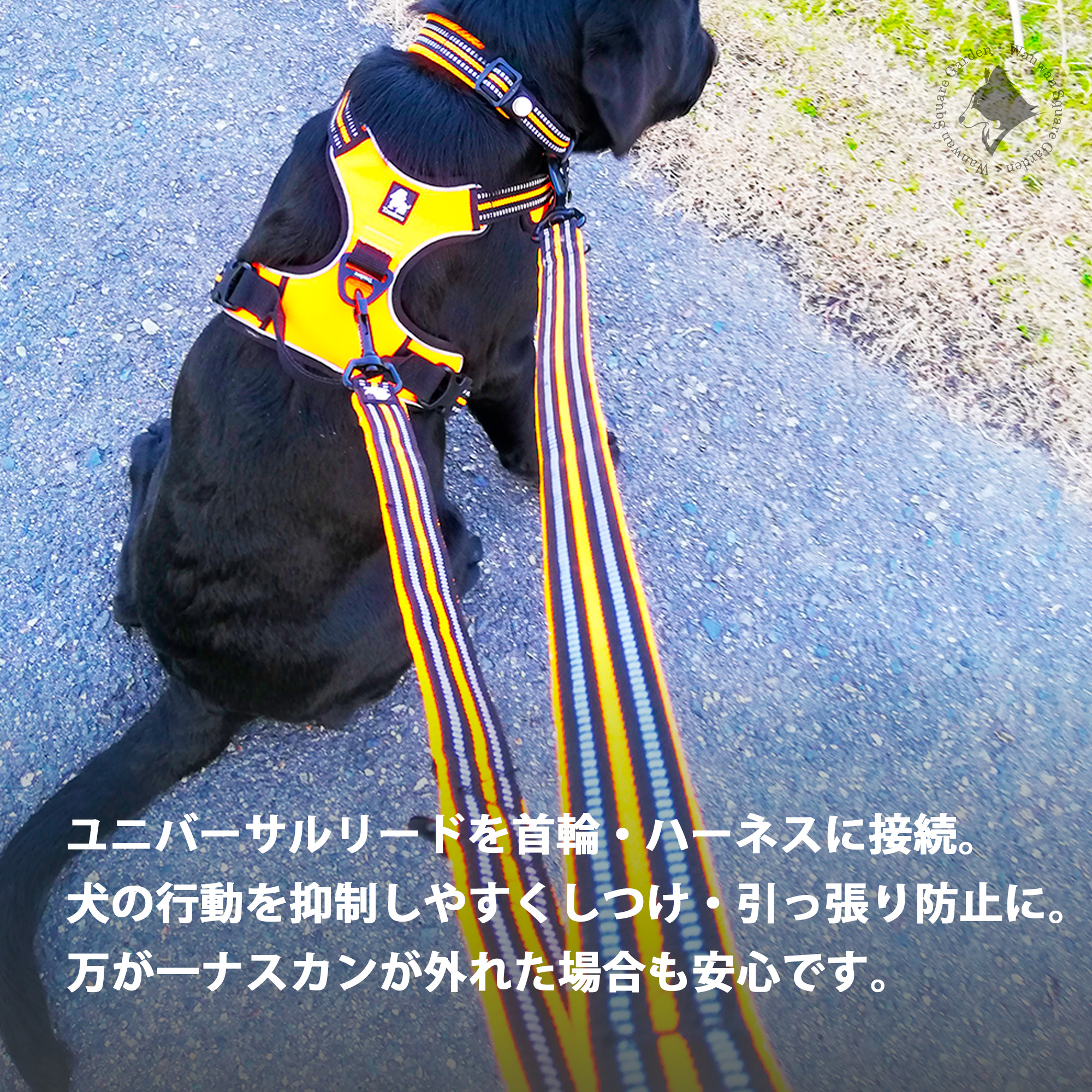 Truelove 多機能ユニバーサルリード メインイメージ