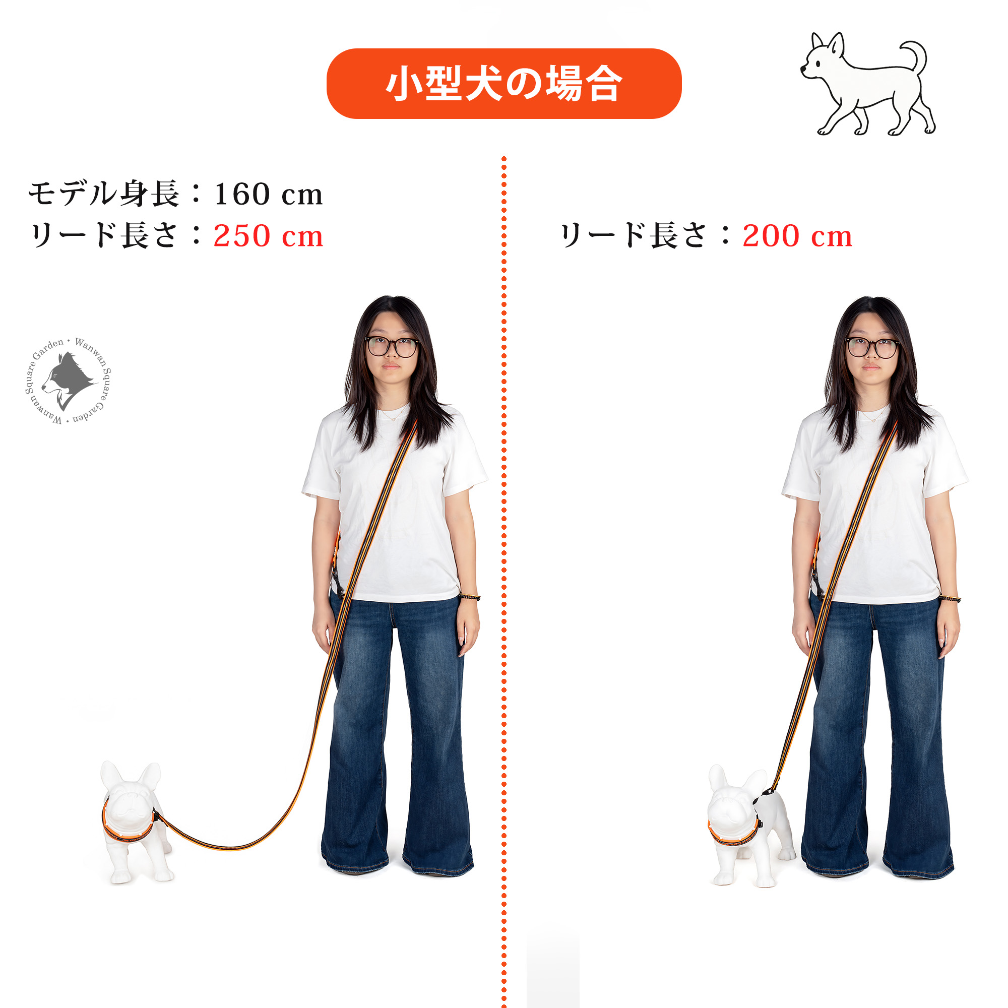 Truelove 多機能リード 小型犬向け 女性モデル 250cmと200cmの比較