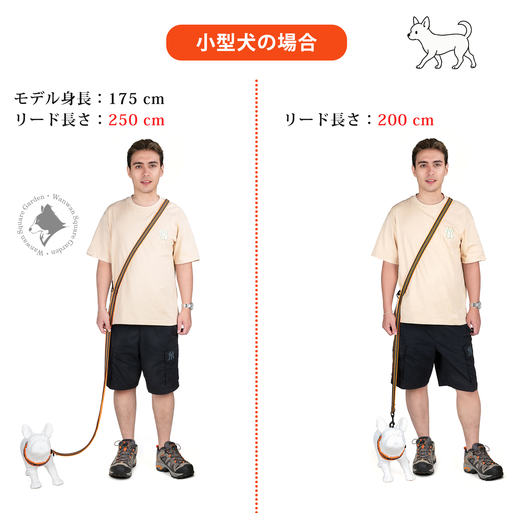 Truelove ユニバーサルリード 小型犬向け メンズ着用例 長さ比較