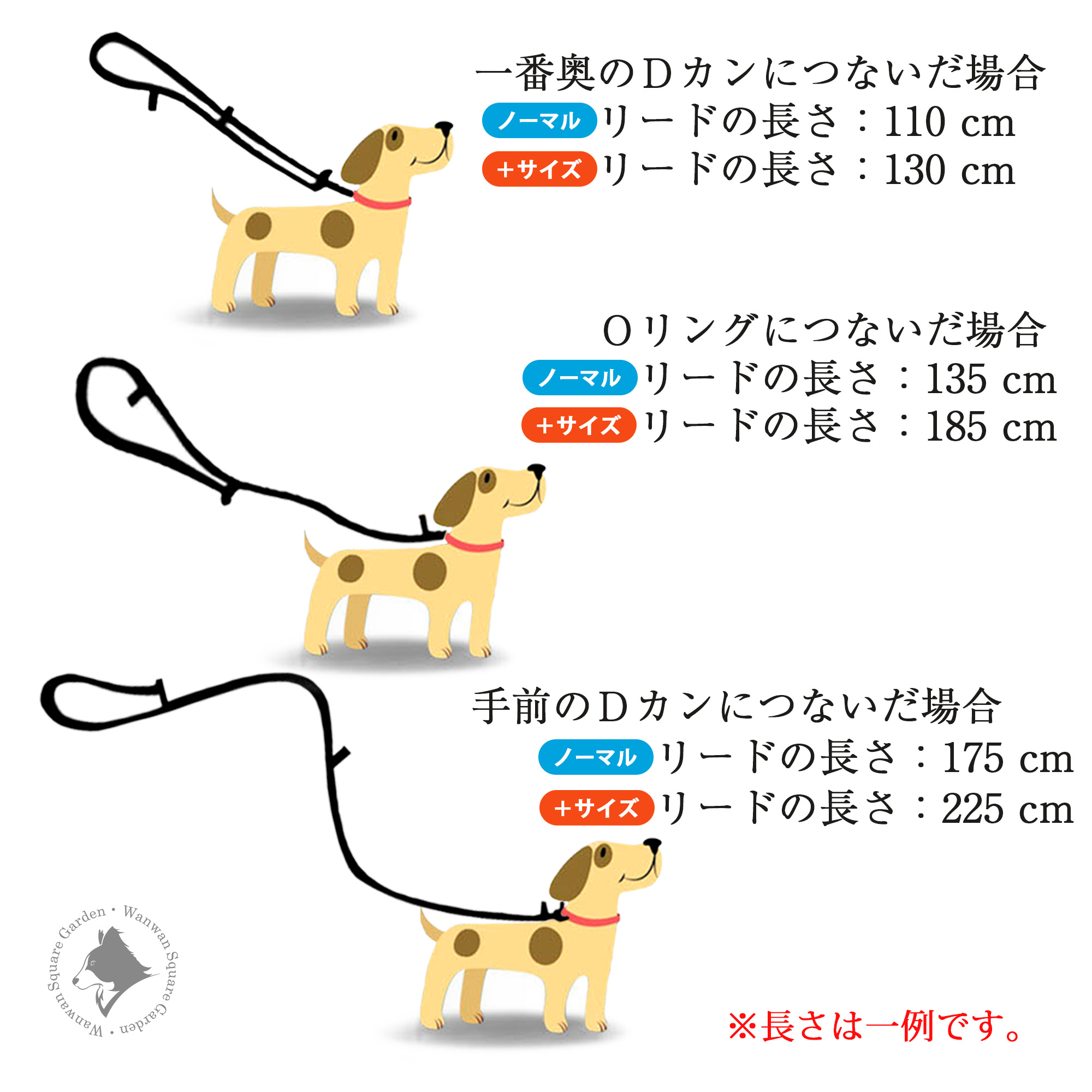 Truelove 多機能リード 長さ調節方法 OリングとDカンの位置説明