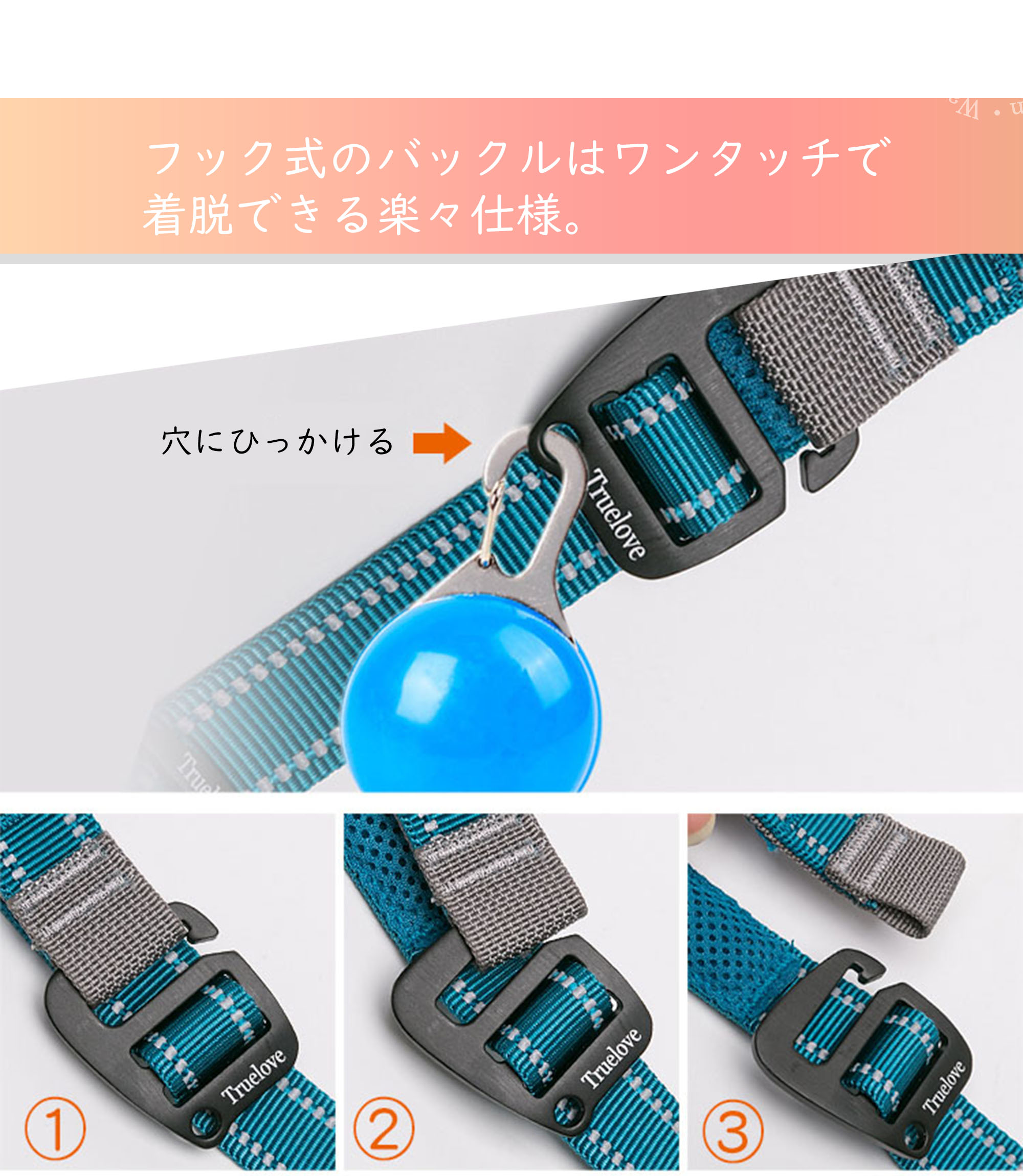 おしゃれでスタイリッシュなデザイン 散歩が楽しくなるリード