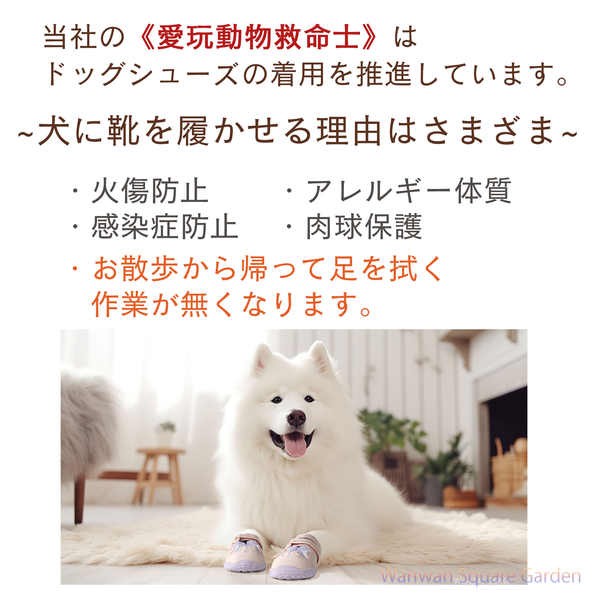 犬用靴 ドッグシューズ 小型犬 大型犬用 Truelove ブランド ソフト 