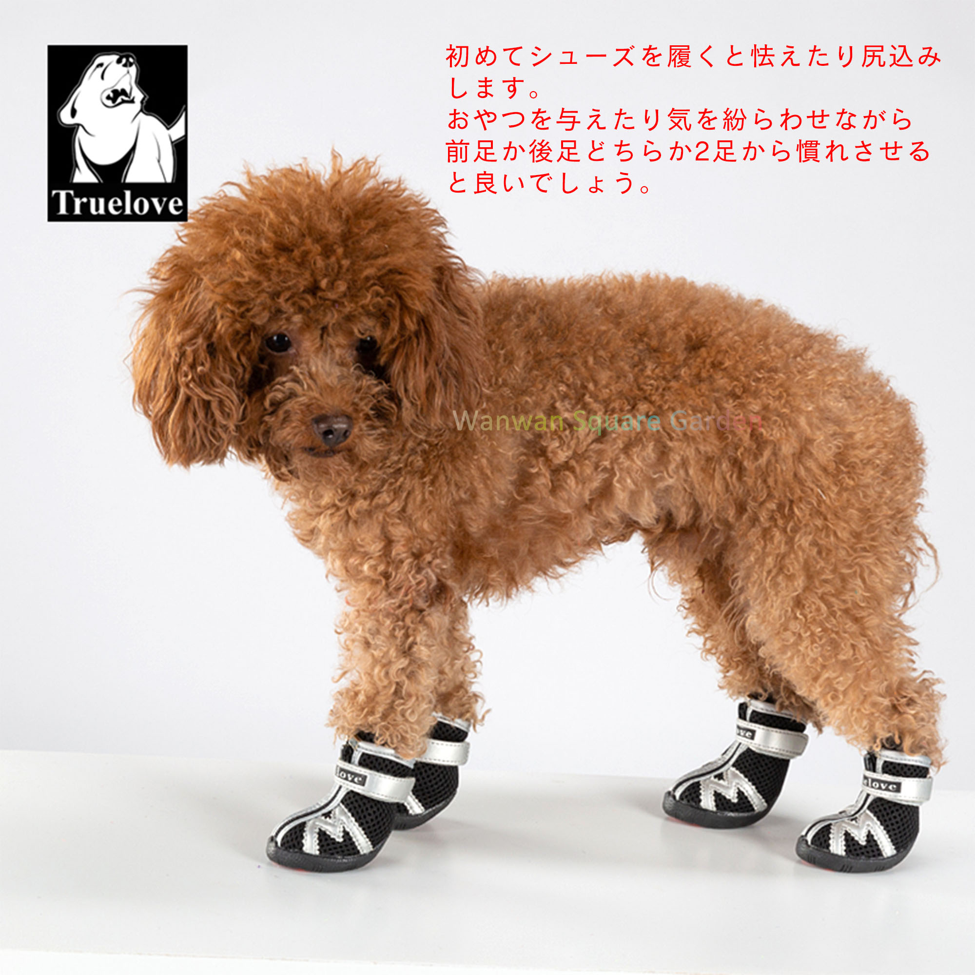 犬 靴 犬の靴 ドッグシューズ 小型犬用 中型犬用 Truelove ブランド 靴 