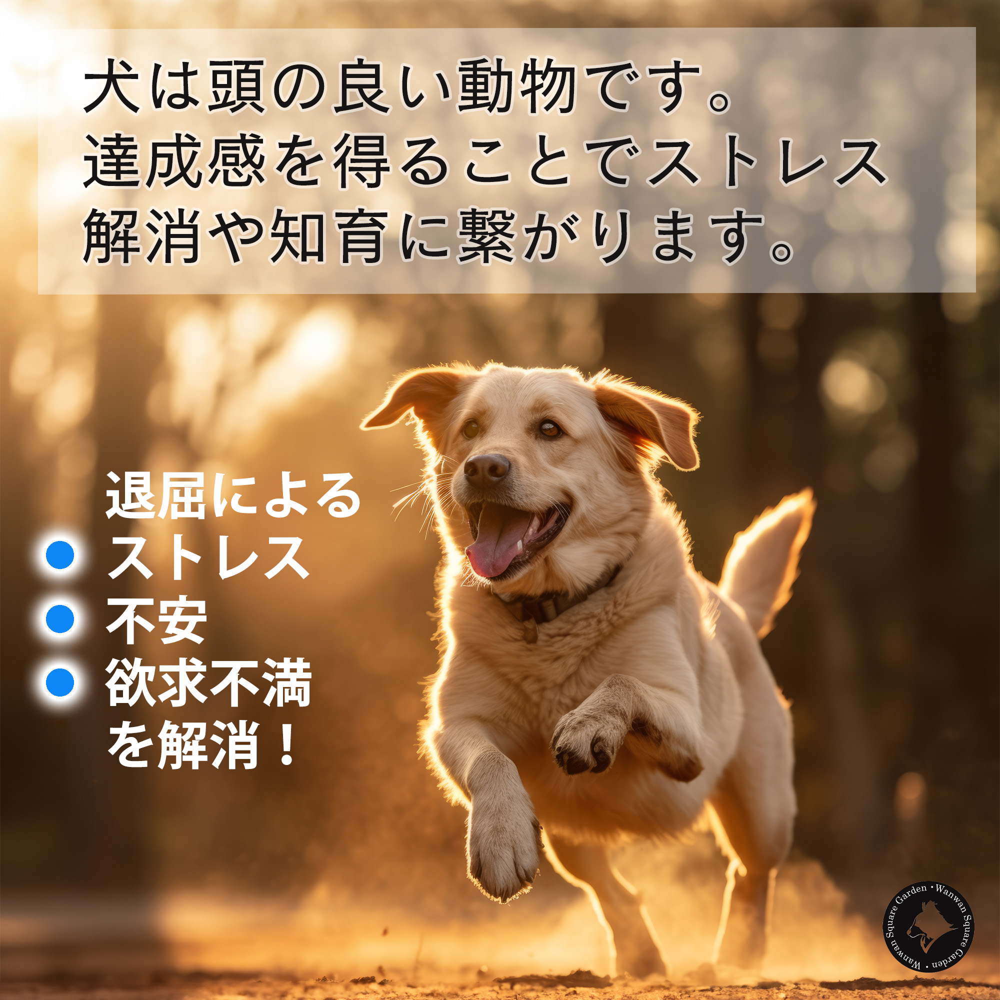 Truelove（トゥルーラブ） 犬 おもちゃ 知育玩具 小型犬 中型犬 大型犬